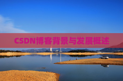 CSDN博客背景与发展概述